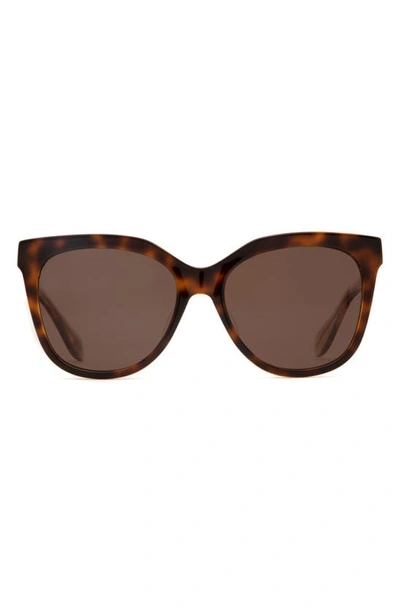 Mohala Eyewear Pikake Universal 55mm Polarized Cat Eye Sunglasses In Amber Tortoise