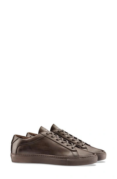 Shop Koio Capri Leather Sneaker In Mocha