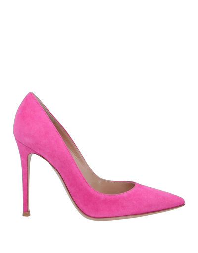 Gianvito Rossi Pumps In Fuchsia