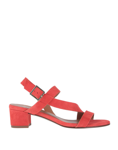 Shop Anaki Woman Sandals Coral Size 7 Soft Leather In Red