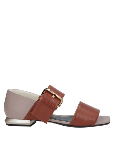 Shop Tipe E Tacchi Sandals In Brown