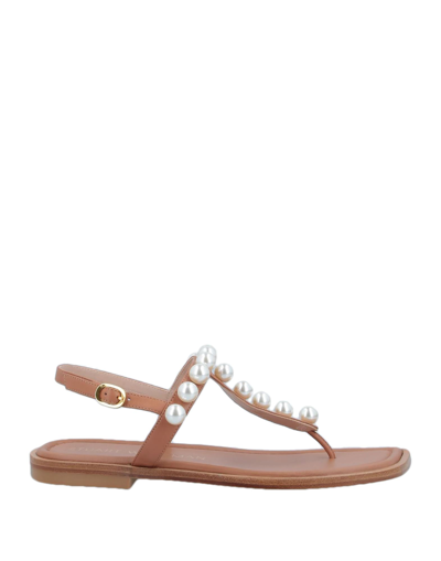 Shop Stuart Weitzman Woman Thong Sandal Tan Size 10.5 Calfskin In Brown