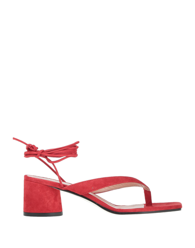 Shop Pollini Woman Thong Sandal Red Size 7 Soft Leather