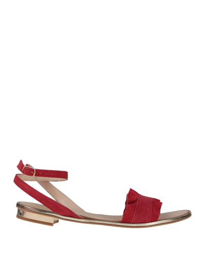 Shop Carlo Pazolini Woman Sandals Red Size 7 Soft Leather