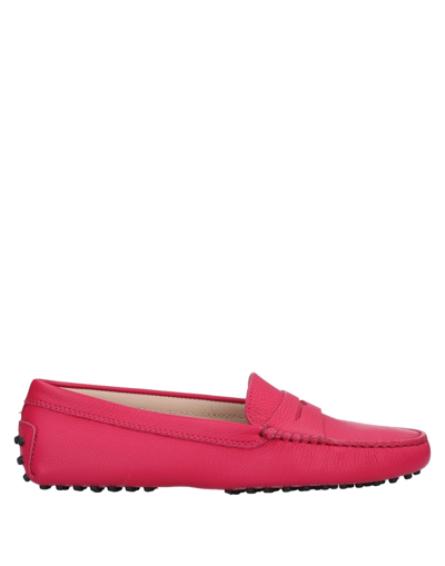 Shop Tod's Woman Loafers Fuchsia Size 5.5 Calfskin In Pink