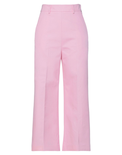 Shop Msgm Woman Pants Pink Size 2 Cotton