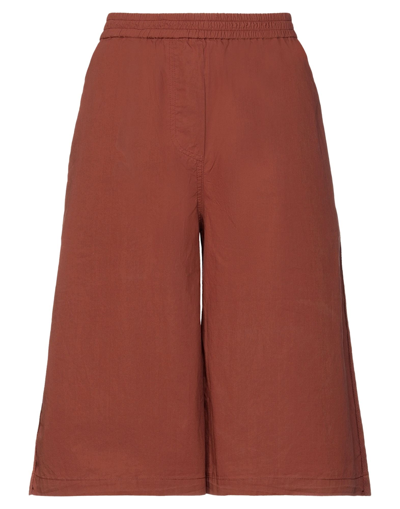 Shop 8pm Woman Pants Rust Size M Cotton In Red
