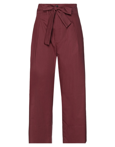 Shop Emme By Marella Woman Pants Burgundy Size 12 Cotton In Red