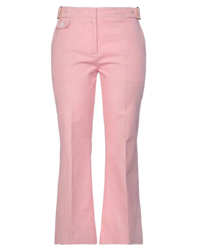 Shop Sies Marjan Woman Pants Pink Size 8 Cotton, Elastane