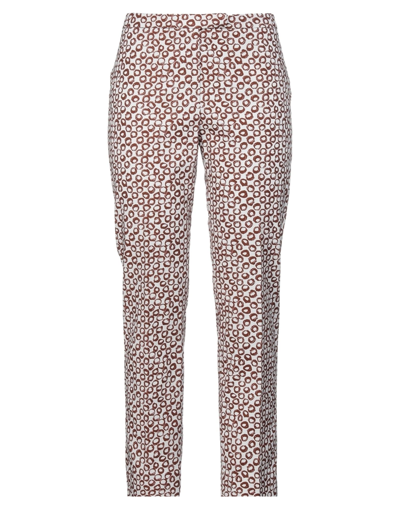 Shop Accuà By Psr Woman Pants Brown Size 8 Cotton, Elastane
