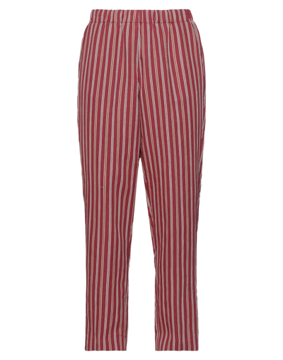 Shop Kiltie Woman Pants Burgundy Size 8 Viscose, Polyamide In Red