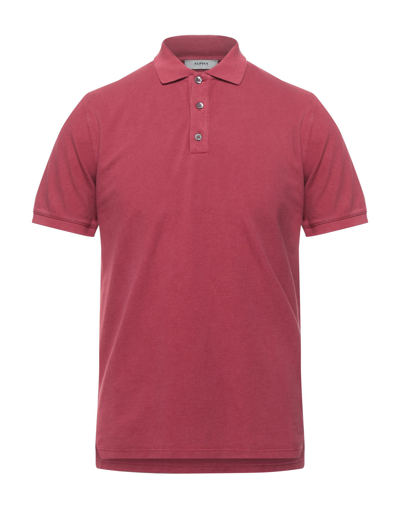 Shop Alpha Studio Man Polo Shirt Garnet Size 46 Cotton In Red