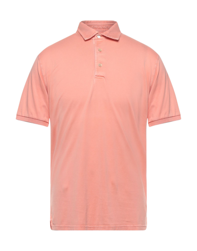 Shop Fedeli Polo Shirts In Salmon Pink