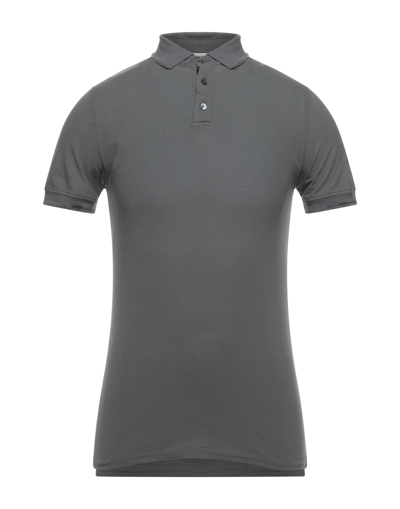 Shop Alpha Studio Polo Shirts In Grey