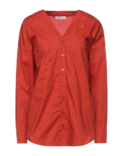 Shop Alpha Studio Woman Shirt Rust Size 4 Cotton, Elastane In Red