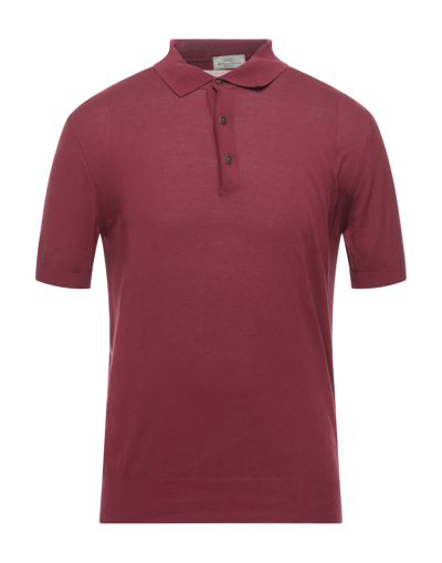 Shop Abkost Polo Shirts In Maroon
