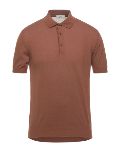 Shop Abkost Polo Shirts In Brown