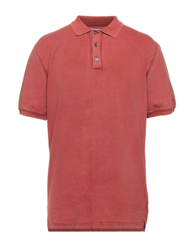 Shop Alpha Studio Man Polo Shirt Brick Red Size 38 Cotton