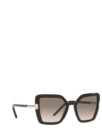 Shop Prada Eyewear Sunglasses In Crystal Dark Brown