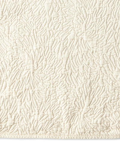 Shop Tl At Home Caden Queen Coverlet In Cream