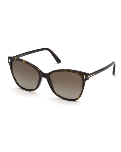 Shop Tom Ford Ani Oversized Plastic Cat-eye Sunglasses, Dark Havana In 52h Dhav/brnpz