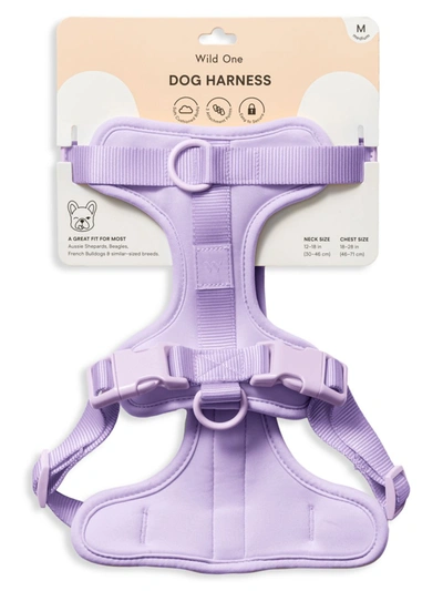 Shop Wild One Standard Harness Dog Leash In Lilac