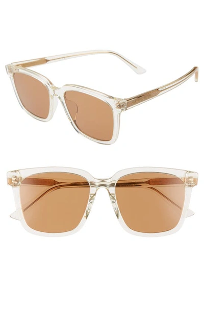 Shop Bottega Veneta 54mm Cat Eye Sunglasses In Beige/ Brown