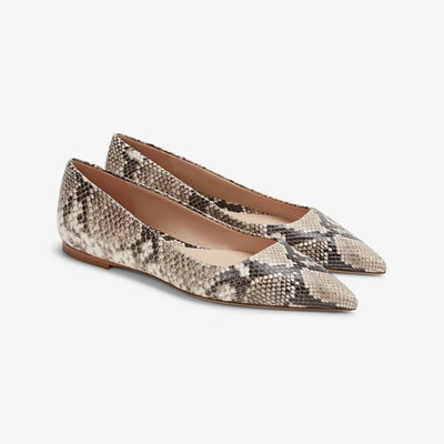 Shop M.m.lafleur The Rowan Flat - Embossed Snakeskin In Black / Ivory