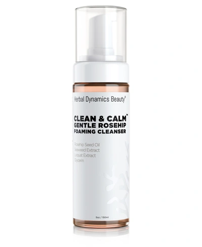 Shop Herbal Dynamics Beauty Clean And Calm Gentle Rosehip Foaming Cleanser In Pink