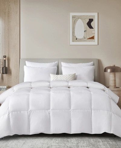 Shop Beautyrest White Feather & Down Fiber All Season Lyocell Cotton Blend Comforter, King