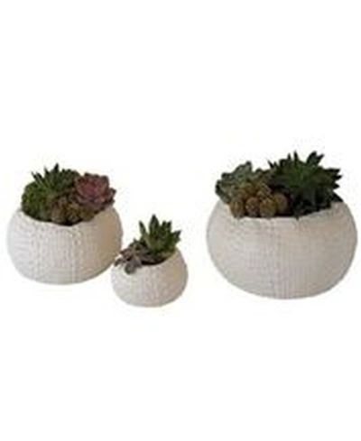 Shop Global Views Ceramic Urchin Bowl Small