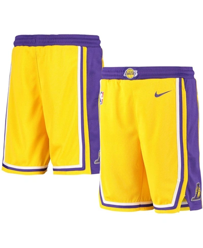 Shop Nike Youth Los Angeles Lakers 2020/21 Swingman Shorts - Icon Edition In Gold