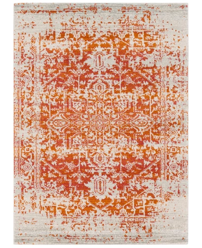 Surya Harput Hap-1019 Burnt Orange 2' X 3' Area Rug In Orange