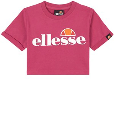 Shop Ellesse Pink Nicky Crop Top