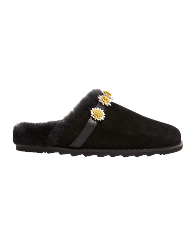 Shop Fabrizio Viti Cloud Suede Shearling Daisy Slippers In Black