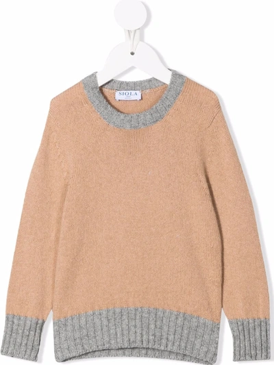 Siola Two-tone Crewneck Sweater In 中性色