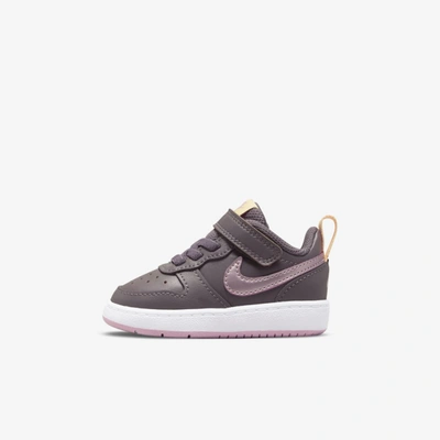 Shop Nike Court Borough Low 2 Baby/toddler Shoes In Violet Ore,melon Tint,pink Glaze