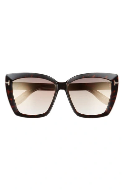 Shop Tom Ford Scarlet-02 57mm Square Sunglasses In Dhav/ Brnmr