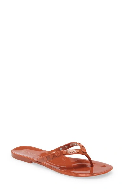 Shop Tory Burch Studded Jelly Flip Flop In Brown