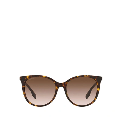 Shop Burberry Be4333 Dark Havana Fe