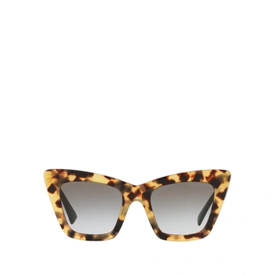 Shop Miu Miu Mu 01ws Havana Light F