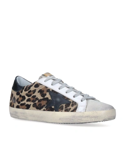 Shop Golden Goose Leather Leopard Print Superstar Sneakers In Brown