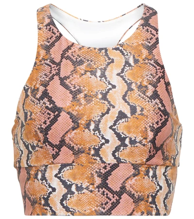 The Upside Sanibel Snake-print Stretch Sports Bra In Gold Python