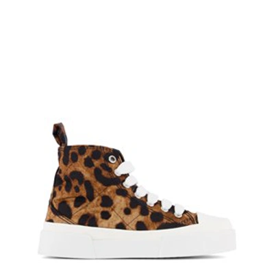 Shop Dolce & Gabbana Brown Leopard High-top Sneakers