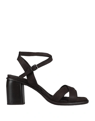 Shop Michelediloco Sandals In Dark Brown