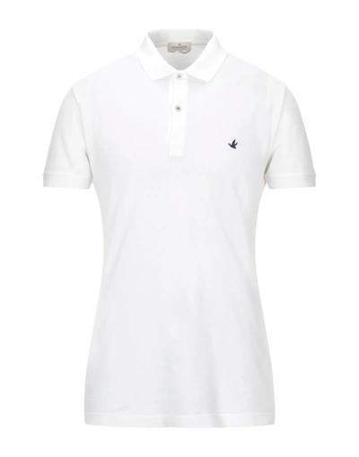 Shop Brooksfield Man Polo Shirt White Size 46 Cotton