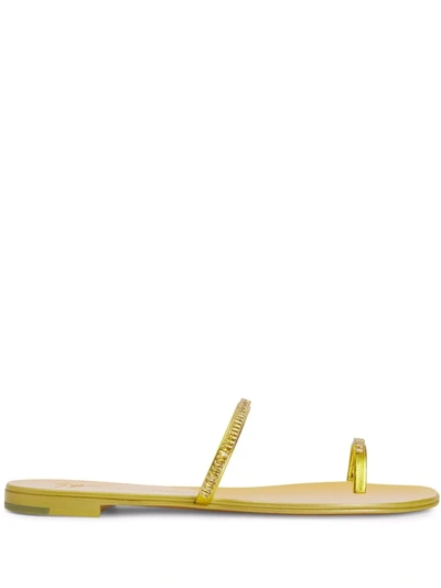 Shop Giuseppe Zanotti Colorful Flat Sandals In Yellow