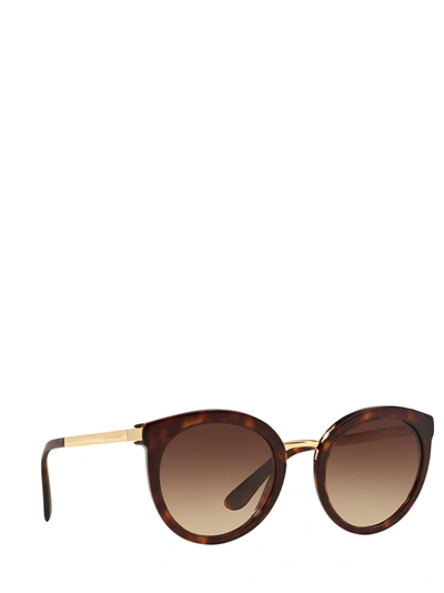 Shop Dolce & Gabbana Eyewear Sunglasses In Havana