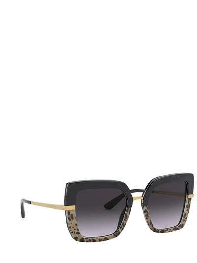 Shop Dolce & Gabbana Eyewear Sunglasses In Top Black On Print Leo / Black