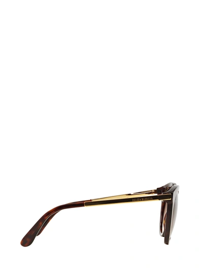 Shop Dolce & Gabbana Eyewear Sunglasses In Havana